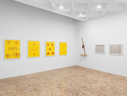 Laura Anderson Barbata and Sheroanawe Hakihiiwe, Wayamou: common tongues, exhibition view. Courtesy of Museo Tamayo