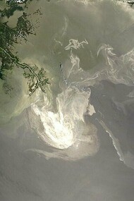 Satellite image of the Deepwater Horizon oil spill in the Gulf of Mexico, 24 May 2010