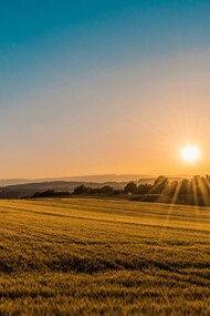 

 L'utilizzo del fotovoltaico riduce significativamente le emissioni di gas serra, contribuendo a combattere il cambiamento climatico
