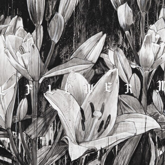 Hiroyasu Tsuri, Full flower moon (detail), 2025. Courtesy of Backwoods Gallery