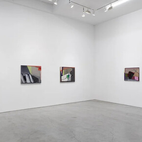 Brenda Goodman, The sum of its parts, exhibition view. Courtesy of Sikkema Jenkins & Co.