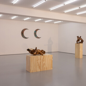 André Romão, Inverno, exhibition view. Courtesy of Galeria Vera Cortês 