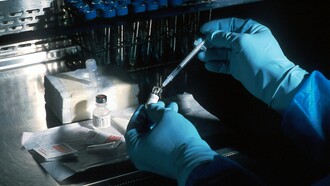 El Virus Sincicial Respiratorio es una de las principales amenazas respiratorias a nivel mundial, con alto impacto en la salud pública