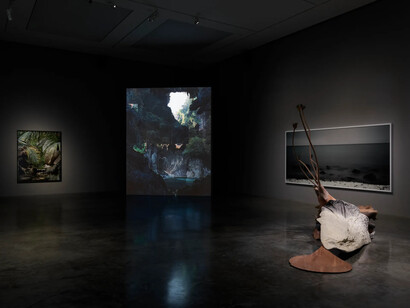 Various artists, Alien shores, exhibition view. Courtesy of White Cube Gallery