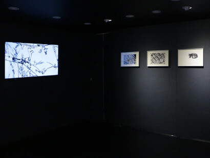Various artists, Hkforeword25, exhibition view. Courtesy of 10 Chancery Lane Gallery