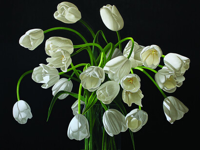 James Andrew Smith, The gentlest dance (detail), 2025. Courtesy of Wally Workman Gallery