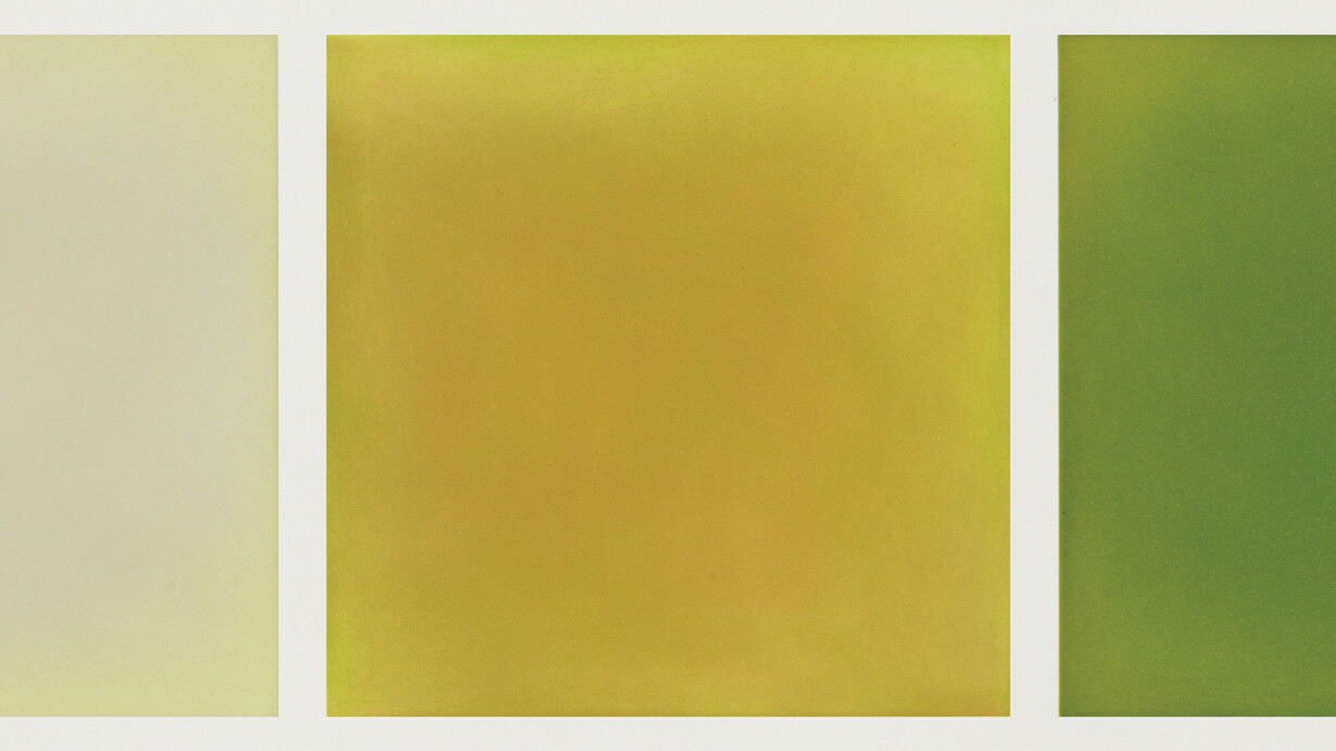 Anne Appleby, Cottonwood (detail), 2012. Courtesy of Crown Point Press