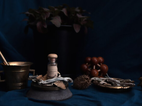 Dried Psilocybe cubensis mushrooms, often associated with therapeutic and spiritual use