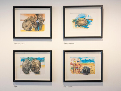 Jaroslava Bičovská, California diary, exhibition view. Courtesy of Danubiana