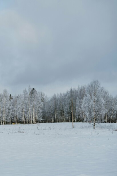 Even in winters of fear and division, life prepares for its next season of renewal