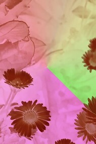 Pitti Immagine Fragranze, giunta alla 19ma edizione