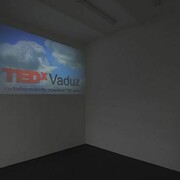 Simon Denny, TEDxVaduz redux, Installation at T293, Rome, February 27 – April 1, 2014