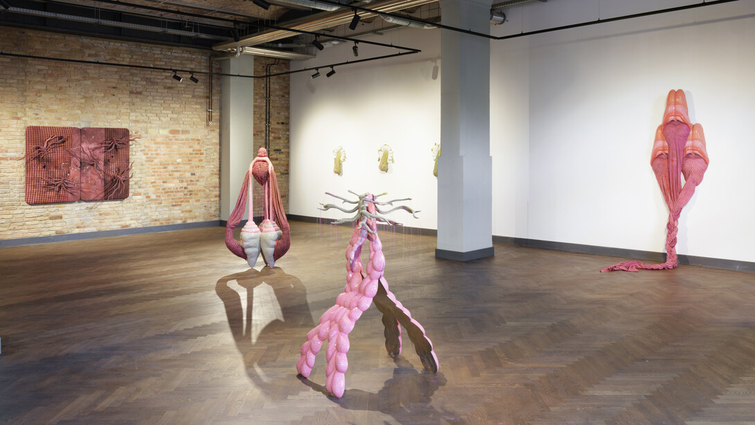 Zsófia Keresztes, The chamoile protocol, exhibition view. Courtesy of König Telegraphenamt 