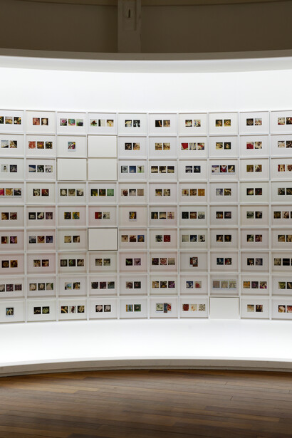 Araki Nobuyoshi, Polaraki, vue d'exposition. Avec l'aimable autorisation du Musée Guimet