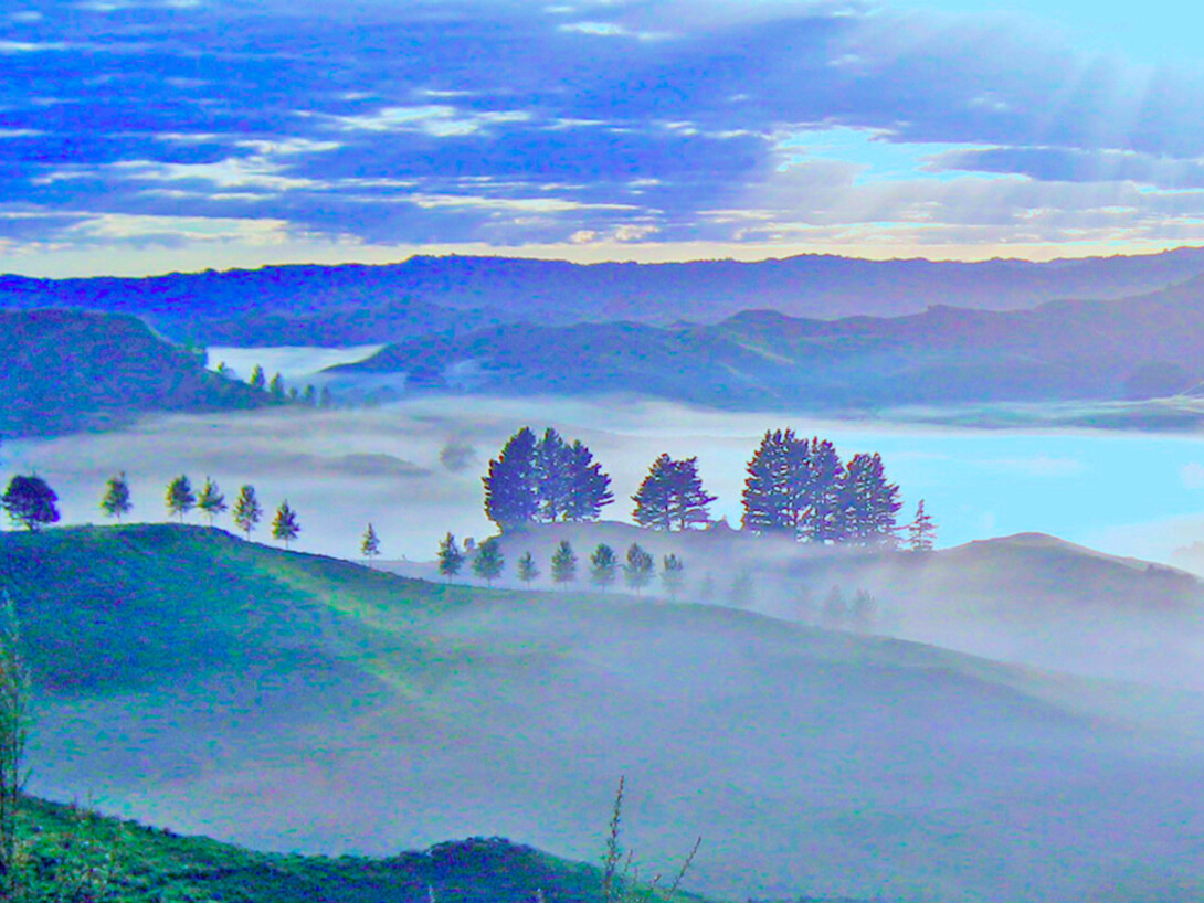 How does water evaporate? Meer