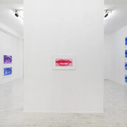 Sam Samore, Schizophrenic beauty (Continued), veduta della mostra. Cortesia di Thomas Brambilla