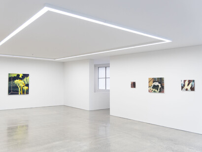 Whitney Bedford, Fiona Pompey, Lucia Sidonio, exhibition view. Courtesy of Starkwhite