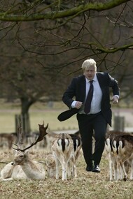 Ejecutivo londinense paseando entre la fauna de Richmond Park