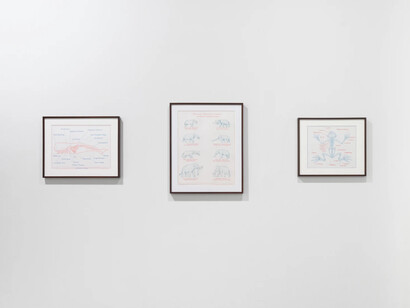 Mark Dion, exhibition view. Courtesy of Tanya Bonakdar Gallery