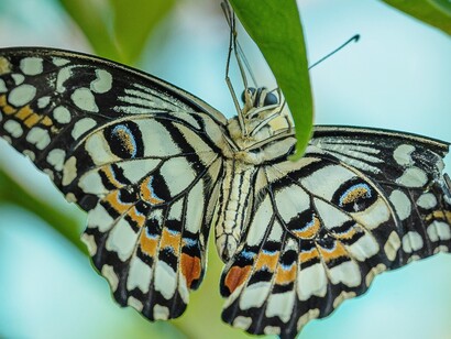 La tecnologia non è più un’estensione dell’uomo: è diventata parte integrante della sua vita quotidiana