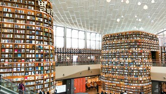 As bibliotecas, têm, pois, um papel fundamental para romper com o desafio da resistência e desconhecimento das literaturas africanas. No Brasil, por exemplo, a biblioteca escolar, e não só, ainda precisa lidar com interferência e resistência, principalmente quando se trata da temática africanidades e a literatura africana em língua portuguesa, apesar da existência da Lei 10.639/03 que versa sobre o ensino da história e cultura afro-brasileira e africana, ressaltando a importância da cultura negra na formação da sociedade brasileira