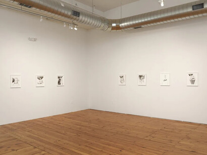 Jake Troyli, Fine line, exhibition view. Courtesy of Project for Empty Space