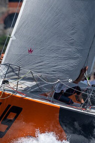 Vaquita. Ph: Eleonora Carlesi e Roberto Cali