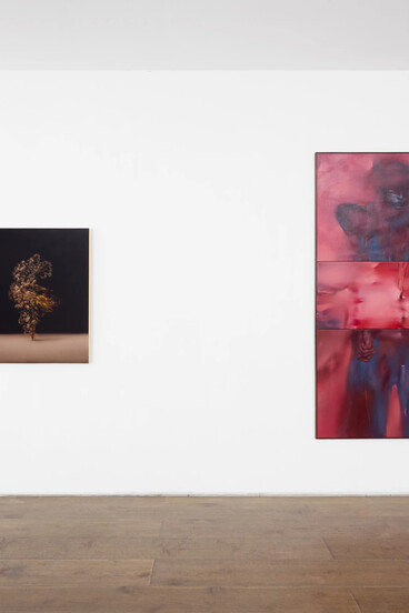 Various artists, States of becoming, exhibition view. Courtesy of gallery rosenfeld