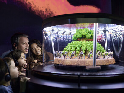 The man who planted trees: an immersive tale, exhibition view. Courtesy of Canadian Museum of Nature