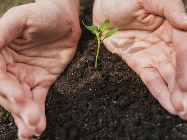 Como analista de processos, vejo diariamente como uma assinatura mal posicionada, a ausência de um campo obrigatório ou um fluxo burocrático engessado podem gerar exclusões, atrasos ou silenciamentos. Pequenos detalhes operacionais têm grande impacto sobre a experiência dos usuários e, sobretudo, sobre os grupos mais vulneráveis