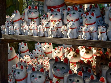  Il Maneki Neko non porta solo fortuna, ma anche un messaggio di fiducia nel futuro