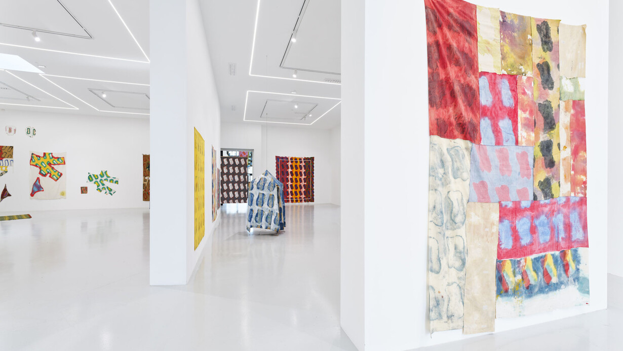 Claude Viallat, Sa forme a soixante ans, vue de l'exposition. Avec l'aimable autorisation de Ceysson et Bénétière