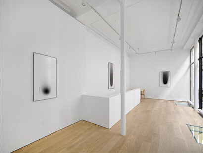 Dove Allouche, Chnops, exhibition view. Courtesy of Peter Freeman, Inc.