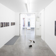 Marco Godinho, The reminder of the winds, exhibition view. Courtesy of Alberta Pane gallery 