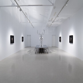Mat Collishaw, Vivisystem, vista de exhibición. Cortesía de la Galería Hilario Galguera