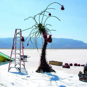 Lauri Gaffin, SPFX, Land of the lost, 2009. Courtesy of Gallery XII