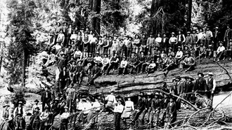 Grupo de homens sobre o toco colossal de uma árvore derrubada na Serra Nevada, nos Estados Unidos. Não era uma árvore qualquer. Era uma sequoia gigante. Mais de um século depois, a imagem ressurge como um assombro. Não apenas por sua escala, mas pelo que ela revela: a arrogância humana diante da natureza milenar. Aqueles homens, no topo do tronco, celebravam um suposto progresso. Não viam um crime. Viam uma conquista. A indústria exigia espaço, as ferrovias precisavam avançar, o “desenvolvimento” exigia sacrifícios. E foi assim que árvores com milhares de anos foram postas abaixo em questão de dias