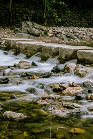 Agora, estou em cima da pedra que rola na casa de Yemanjá. A Mãe do Mar, aquela que ensina a amar. Você sabe né dona Alma? Quem me recebeu foi Julia de Janaína, então me sinto muito Bem Cuidada e Acolhida. Agradecida Julia de Janaina, sobretudo, sabe por quê? Porque ela Cuida de Gente, quer dizer, de Almas, ainda sem gênero, mas intencionalmente femininas. Nas asas do passarinho ou nas patas da Lobinha. Eu sei que a Alma não tem gênero? Tem dona Alma?
