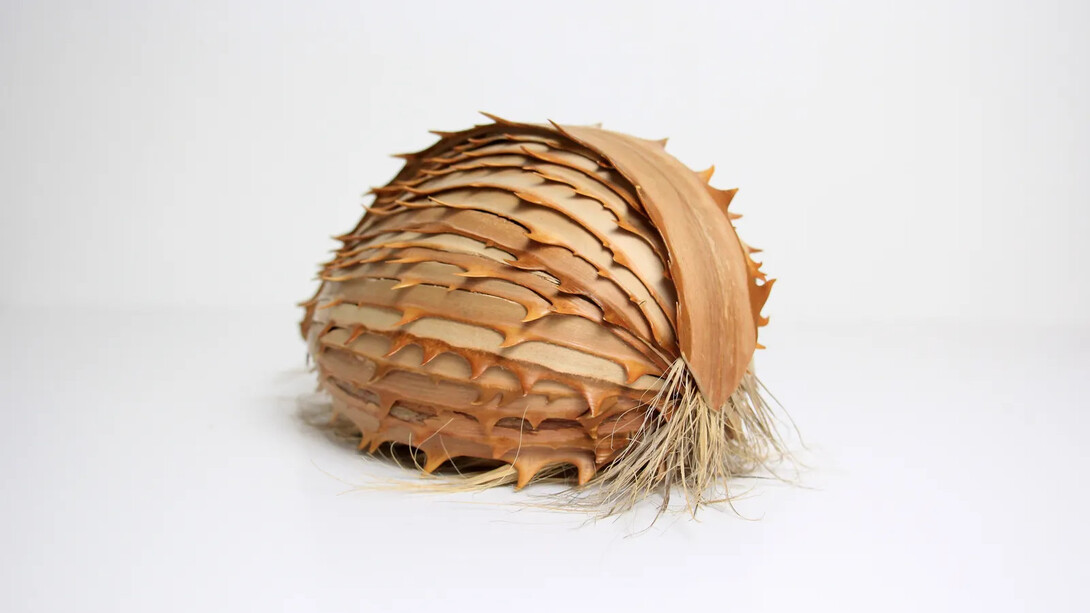 Lélia Demoisy, Possibilité n° 11, 2024. Avec l'aimable autorisation de la Galerie By Lara Sedbon