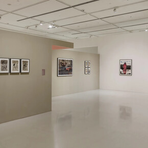  Arindam Chatterjee, অ ব মা ন ব (avamānava), exhibition view. Courtesy of Emami Art 