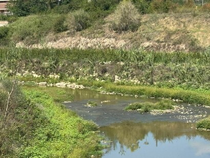 Le strutture, prive di manutenzione, mostrano segni evidenti di crolli e degrado, con reperti lasciati all’esposizione delle intemperie. Foto di Sandra dello Iacovo, sito archeologico di Cellarulo, Benevento, Italia