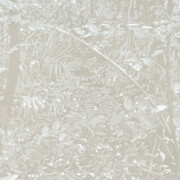 Luca Pancrazzi, Urbs ex arboribus. Per gentile concessione di Marcorossi artecontemporanea