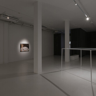 Regina José Galindo, Glass ceiling, exhibition view. Courtesy of ADN Galeria