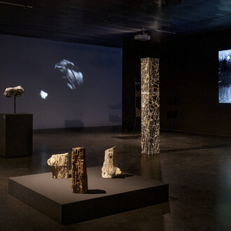 The world without us, exhibition view. Courtesy of Lentos Kunstmuseum