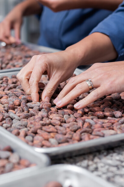 Azú Chocolates. Valentina Hernández, con Cacao Pittier, representa el vínculo entre naturaleza y gastronomía, promoviendo un chocolate con propósito que protege aves, ecosistemas y productores locales