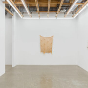 Molly Haynes, Liquescent, exhibition view. Courtesy of Ochi Projects
