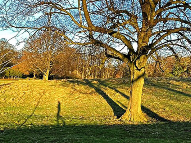 La soledad del corredor de fondo se yergue en la sombra del tiempo como un estímulo para quienes no ansían otra cosa que liberarse de la sumisión al orden establecido, emanciparse de un presente que ignora tanto nuestras necesidades como deseos verdaderos. Una carrera contra el reloj del éxito, el triunfo, el dinero. Parque Sheffield, Inglaterra