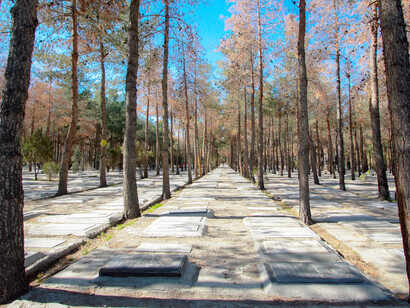 Desaparecen las familias y si alguno queda, si una hija, un padre, un tío, si alguno de ellos queda con vida, esa vida ya no es vida, es un resto, es una felicidad que nunca llegará Cementerio Behesht-e Zahra, Teherán, Irán