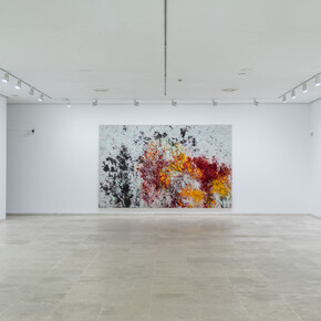 Carlos León, Suite Dánae, exhibition view. Courtesy of Museo Patio Herreriano