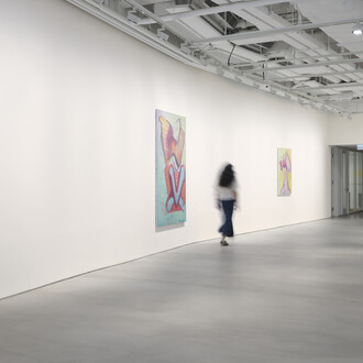 Maria Lassnig, Self with dragon, exhibition view. Courtesy of Hauser & Wirth Gallery